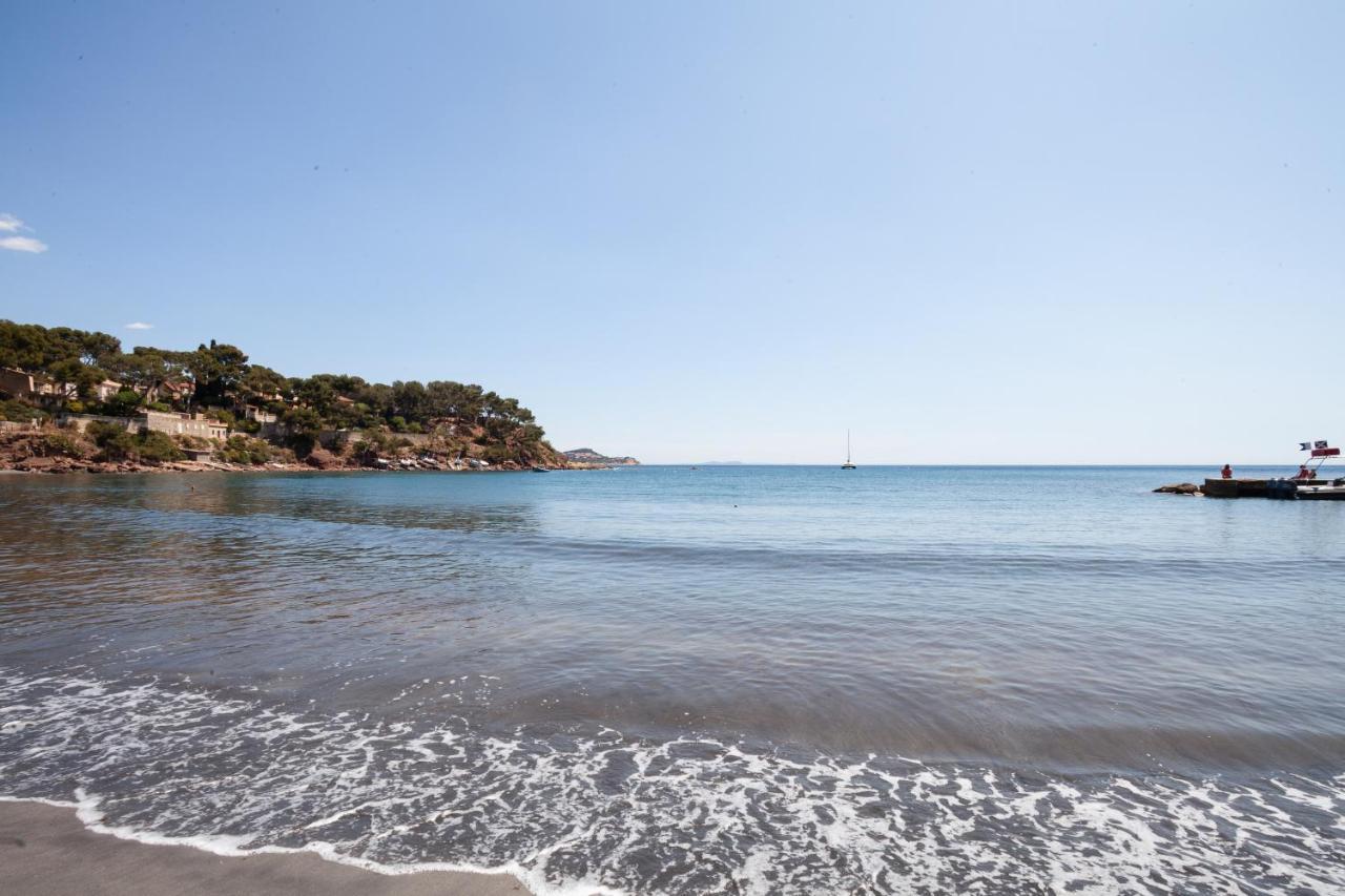 T2 - La Seyne Sur Mer - Fabregas Exteriör bild