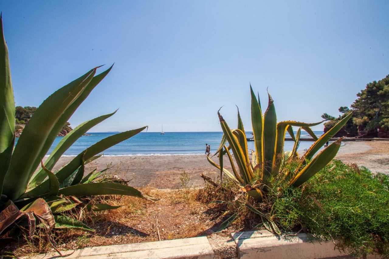 T2 - La Seyne Sur Mer - Fabregas Exteriör bild
